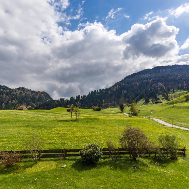 Landhaus Berktold - Appartamento con Vista Montagna - 1
