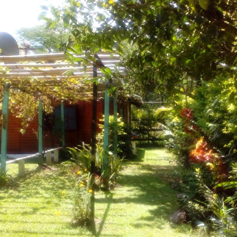 Cabañas San Jose - Suite Familiar - 4