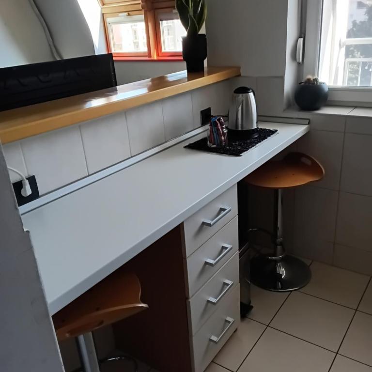 Alex Studio Novi Sad - Apartman sa 1 Spavaćom Sobom - 9