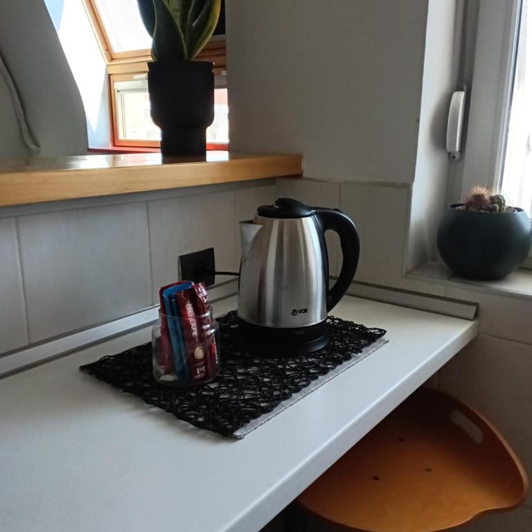Alex Studio Novi Sad - Apartman sa 1 Spavaćom Sobom - 8