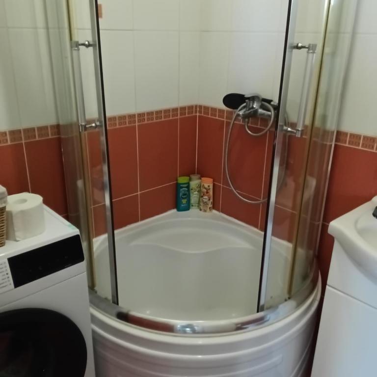 Alex Studio Novi Sad - Apartman sa 1 Spavaćom Sobom - 7