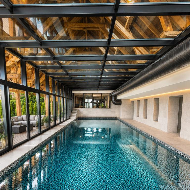 Villa Savoie Villa de luxe avec piscine et spa, lac d'Annecy - Villa Deluxe - 5