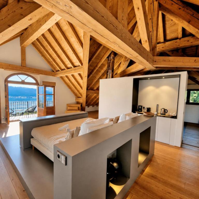 Villa Savoie Villa de luxe avec piscine et spa, lac d'Annecy - Villa Deluxe - 28