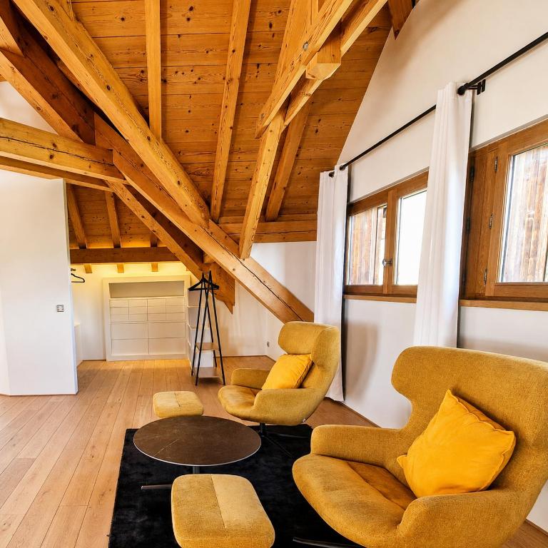 Villa Savoie Villa de luxe avec piscine et spa, lac d'Annecy - Villa Deluxe - 29