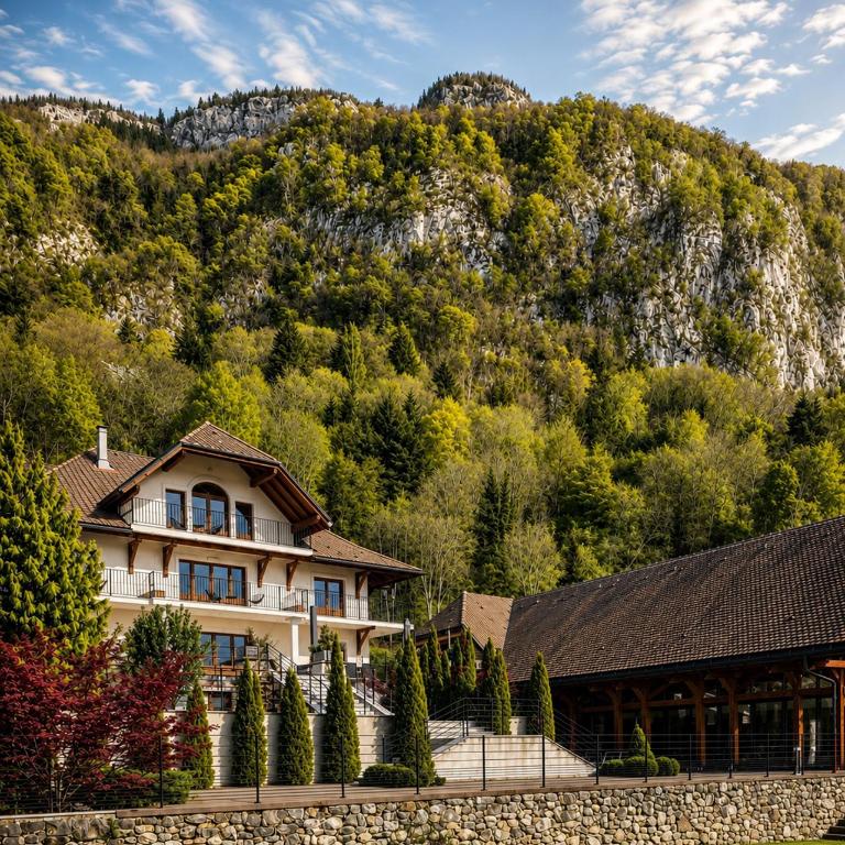 Villa Savoie Villa de luxe avec piscine et spa, lac d'Annecy - Villa Deluxe - 34