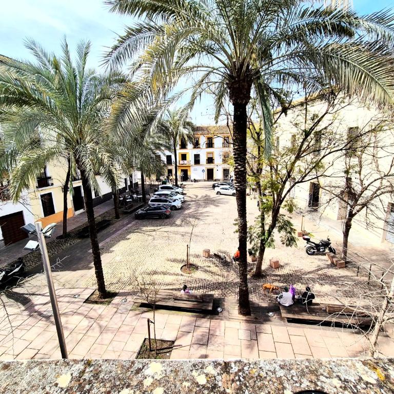 Bhost - Calma Home - Appartement - 36
