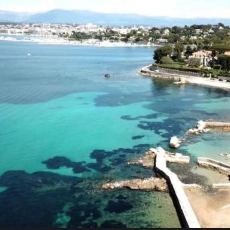 Escale Eucalyptus - Pool & Private Parking - Appartement 1 Chambre - Vue sur Jardin - 20