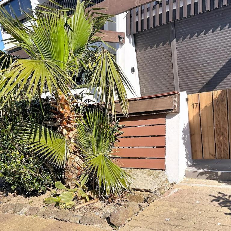 Studio le Venus Light 17 avec terrasse au village naturiste Port Venus - Appartement - Rez-de-Chaussée - 9