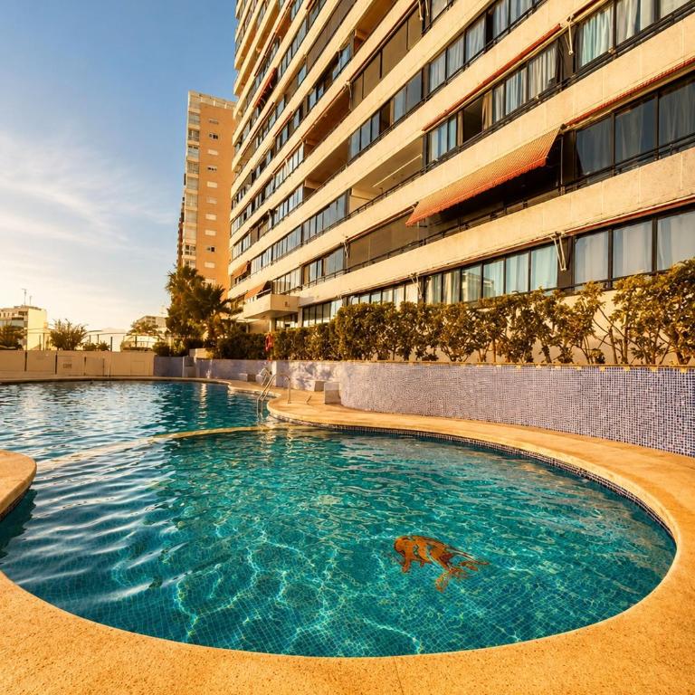 Cactus Apartamento - Apartamento de 2 dormitorios con vistas al mar - 62