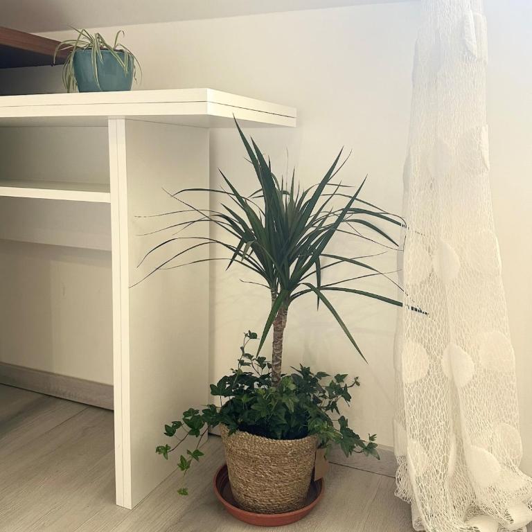 Appartement T2 - Appartamento con 1 Camera da Letto con Vista - 8