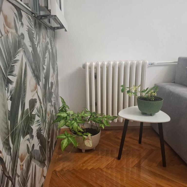 Mišel - Apartment mit 2 Schlafzimmern - 11
