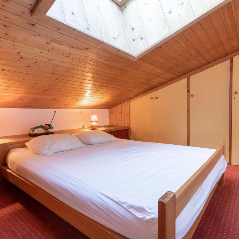 Idéal ski 6 pers, animaux, garage, WIFI, ascenseur - FR-1-304-18 - Apartamento (6 adultos) - 7