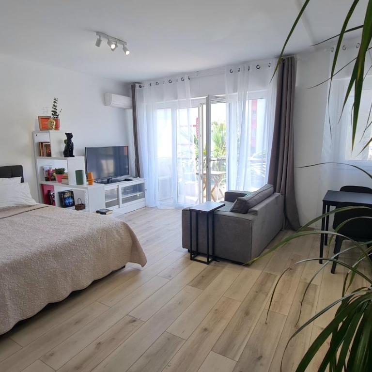 Spacious Studio - Appartement 1 Chambre - 1