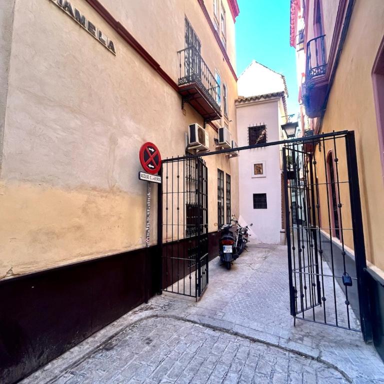 Hispalis San Esteban - Apartamento de 2 dormitorios - 6