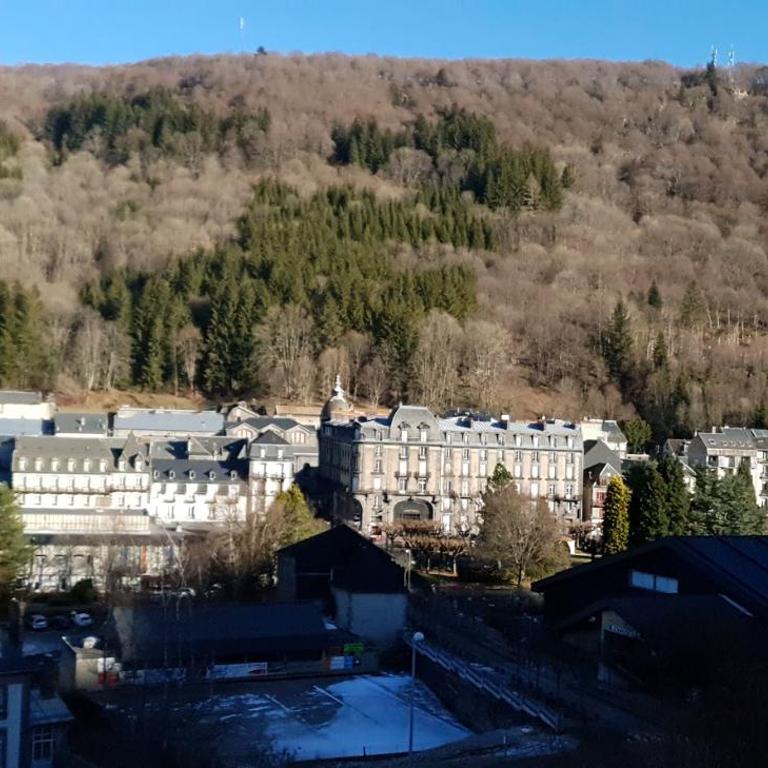 Studio Mont-dore - Apartamento de 1 dormitorio - 3