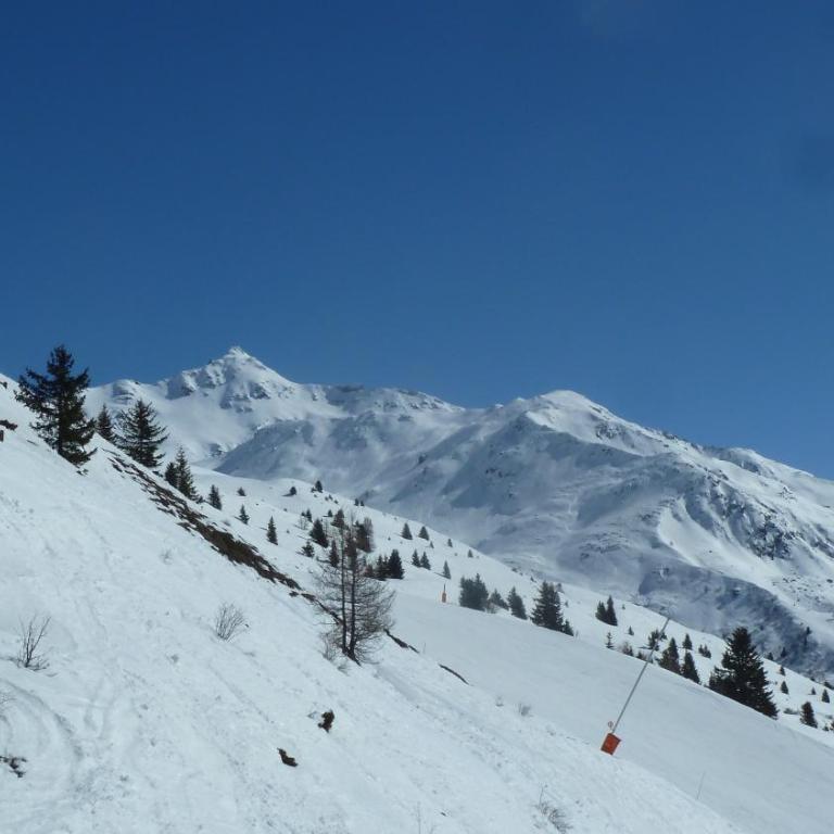 Mon petit Chalet - Chalet 2 Chambres - 15