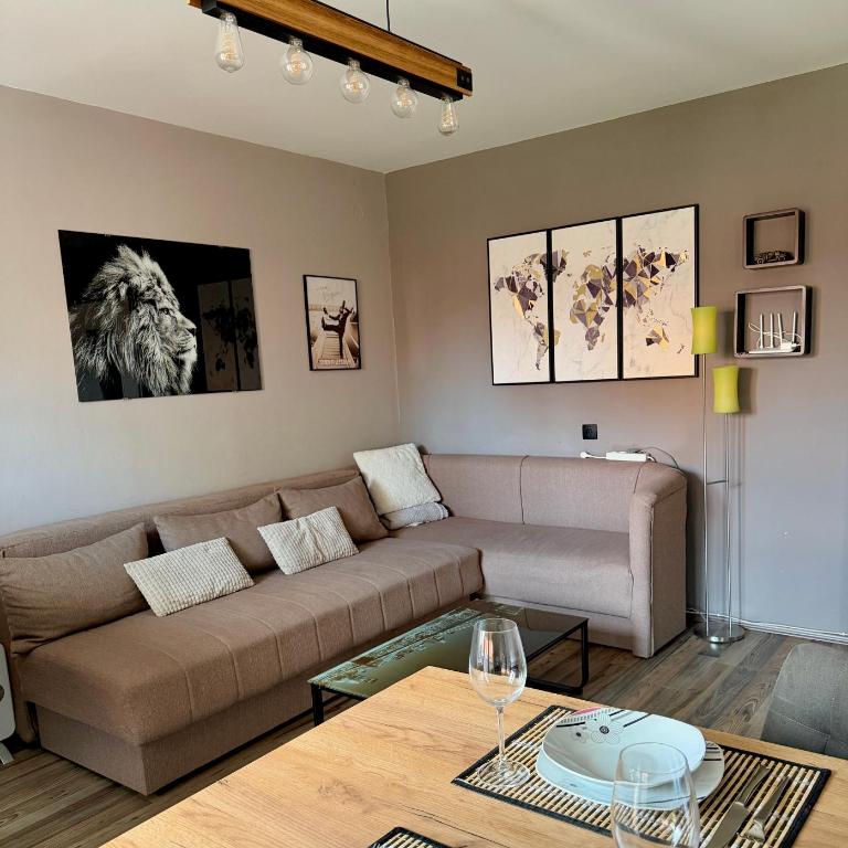 Orlovica Pavla - Apartman sa 1 Spavaćom Sobom - 1
