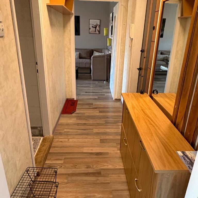 Orlovica Pavla - Apartman sa 1 Spavaćom Sobom - 15