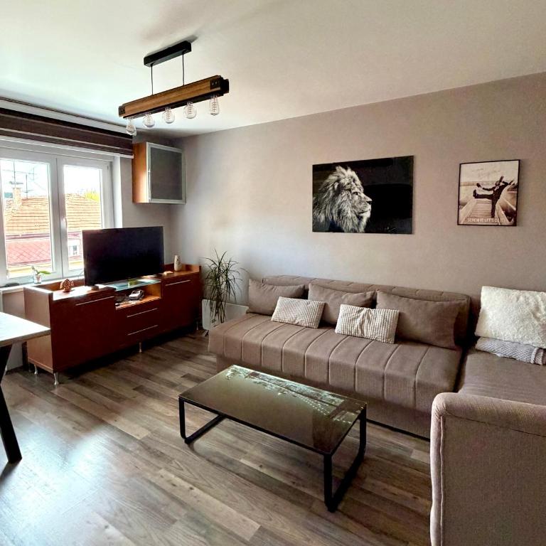 Orlovica Pavla - Apartman sa 1 Spavaćom Sobom - 2
