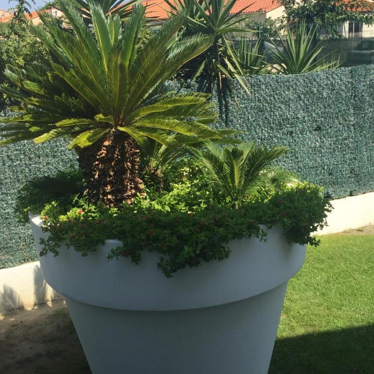 La maison de Virginie 6 a 12 personnes -300 m de la plage- vélos a disposition - Villa avec Piscine Privée - 33