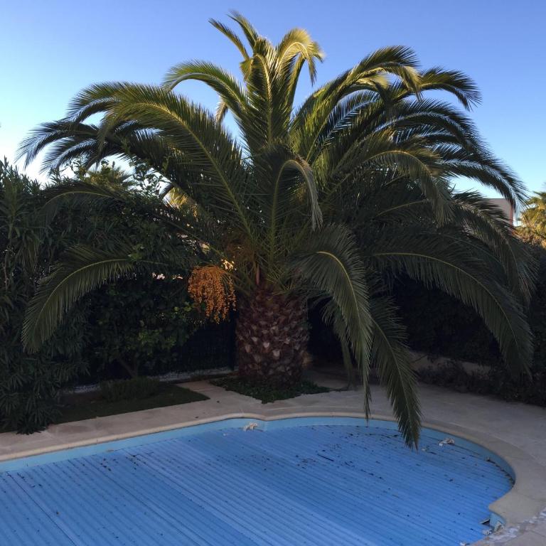 La maison de Virginie 6 a 12 personnes -300 m de la plage- vélos a disposition - Villa avec Piscine Privée - 66