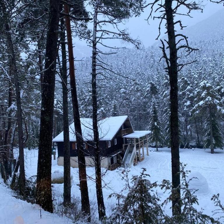 Chalet for 10 with the forest - Chalet - 6