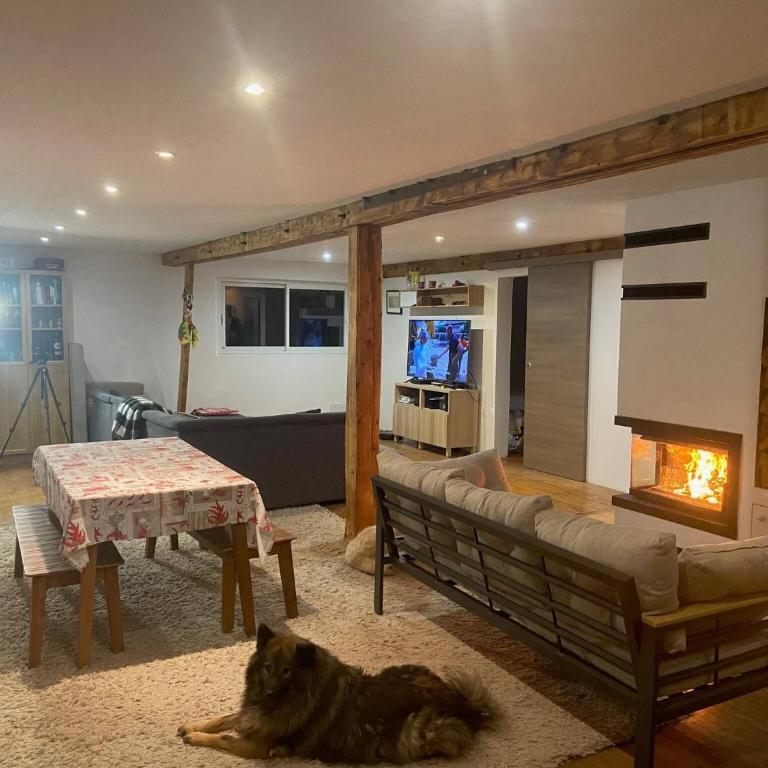 Chalet for 10 with the forest - Chalet - 7