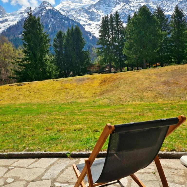 Beautiful Apartment with views of Mont Blanc - Appartement 2 Chambres - 11