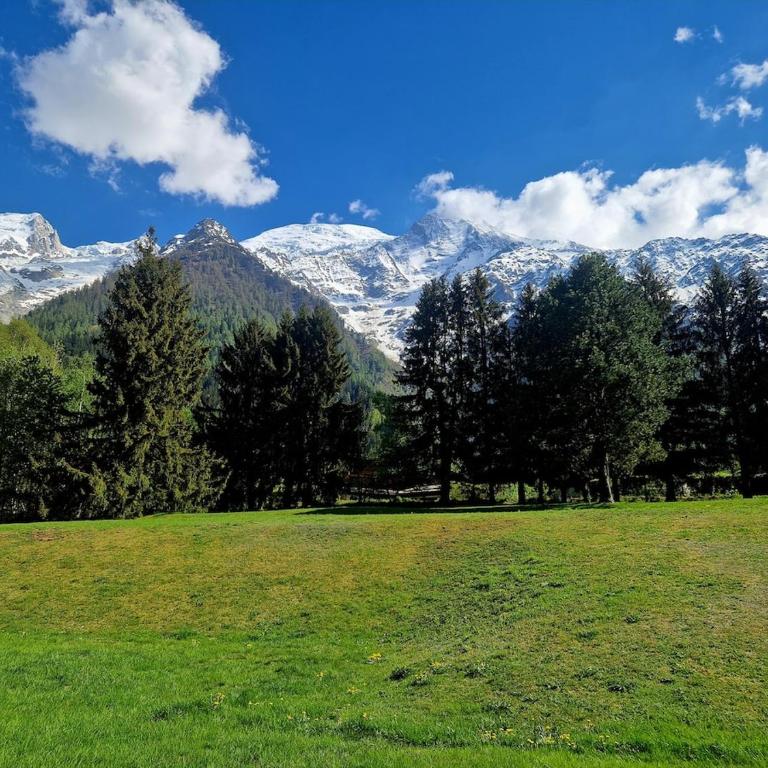 Beautiful Apartment with views of Mont Blanc - Appartement 2 Chambres - 12