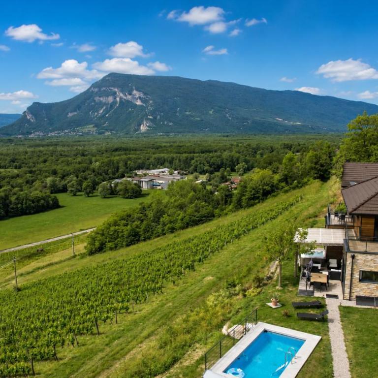 Balcon des vignes - Villa cocoon - Villa 3 Chambres - 51