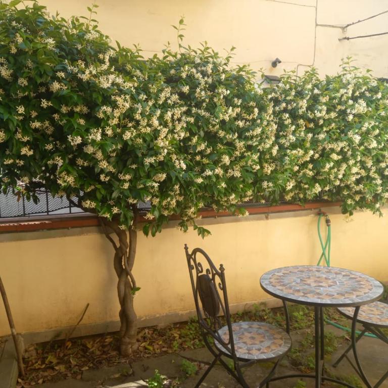 GardenHouseFirenze Familiare a 10 min dal centro,possibilità parcheggio-Careggi - Appartamento - Piano Terra - 22