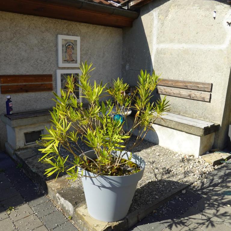 "Les Échalas" Charmante maison au coeur du Lavaux, Cully - Haus mit 1 Schlafzimmer - 18