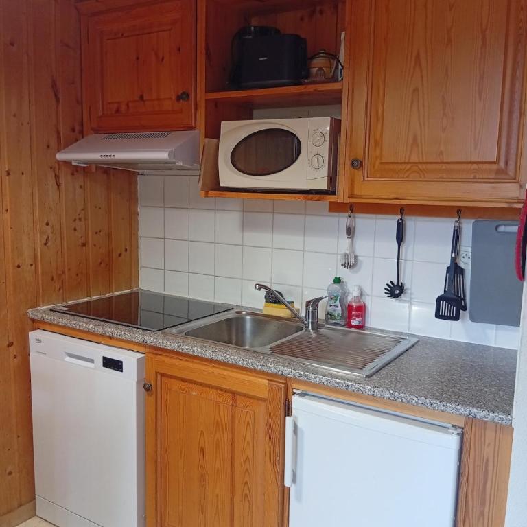 Studio plein sud aux pieds des pistes - Appartement 2 Chambres - 2