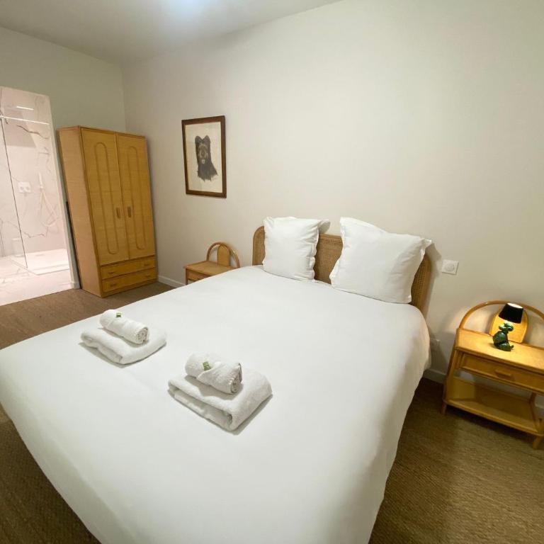 Les Chiens - Atypique T3 en Centre ville, Wifi - Apartamento de 2 dormitorios - 16