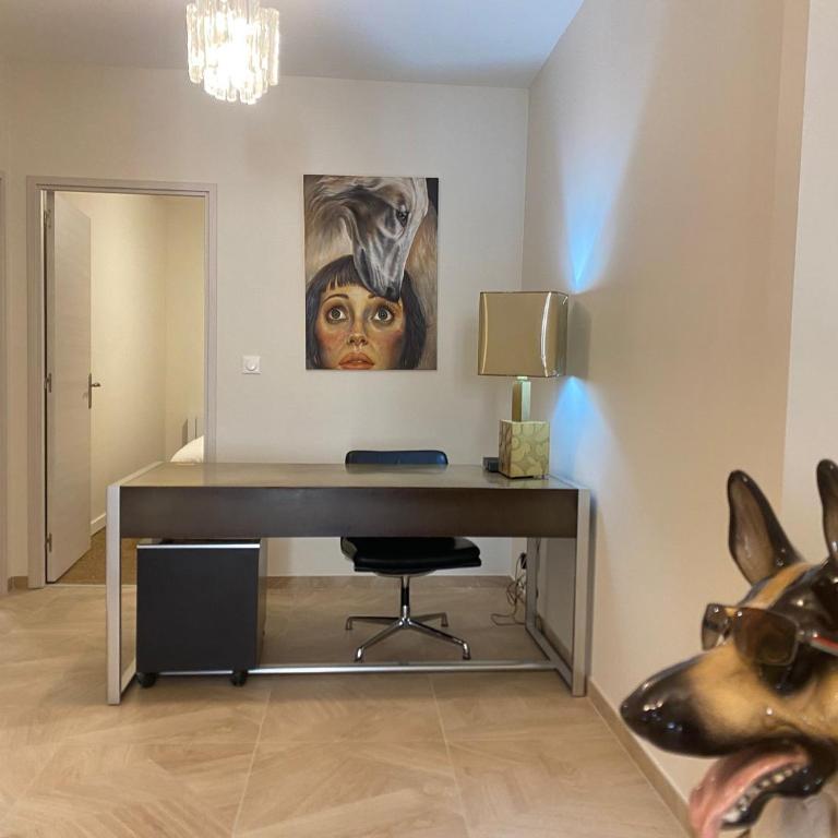 Les Chiens - Atypique T3 en Centre ville, Wifi - Apartamento de 2 dormitorios - 22