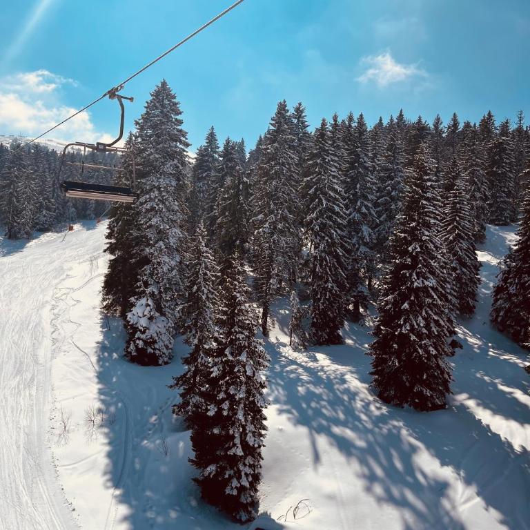 Mountain Nest - Milmari Resort & Spa - Appartement 1 Chambre - 43