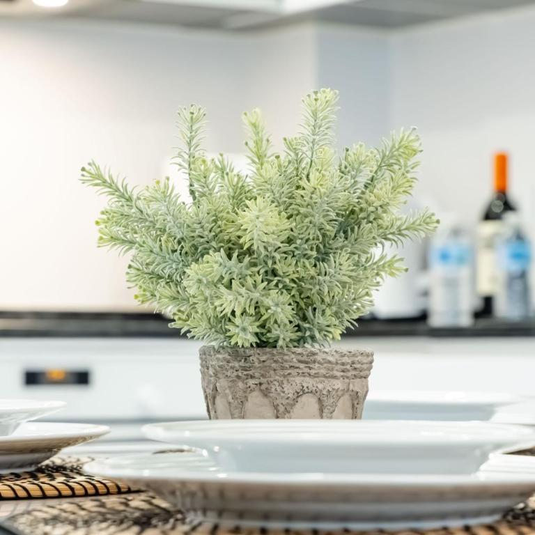 Las Gaviotas B20 - Two-Bedroom Apartment - 11