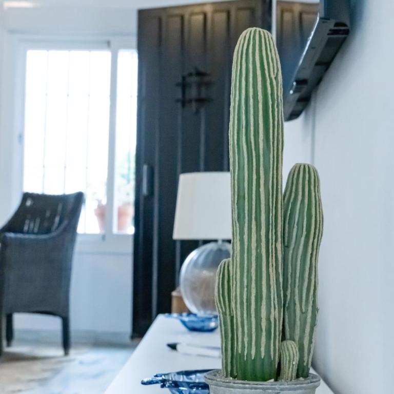 Las Gaviotas B20 - Two-Bedroom Apartment - 13