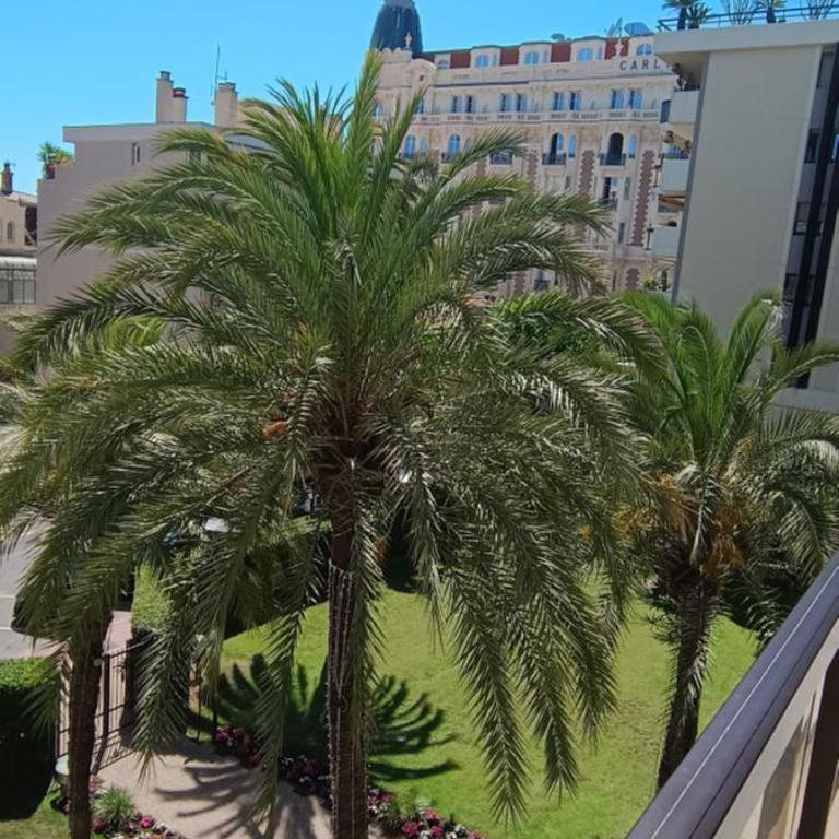 Les Jardins de la Croisette- luxueux 2p terrasse parking - One-Bedroom Apartment - 1