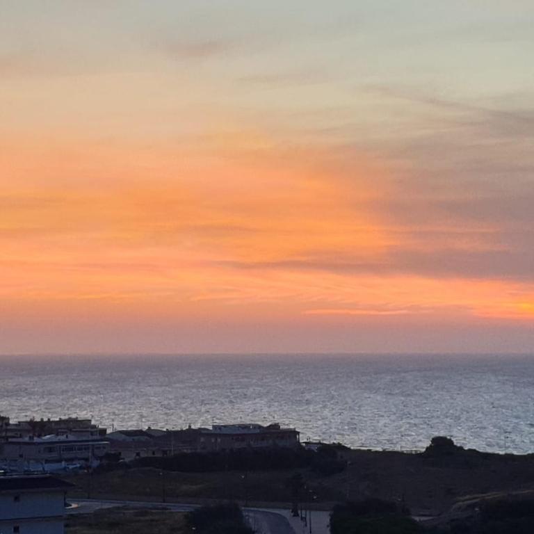 Studio with ocean view and pool in La Mata - One-Bedroom Apartment - 17