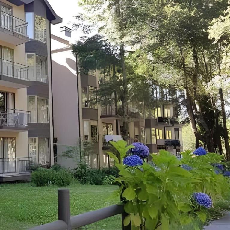 Elegante y moderno departamento en Pucón - Apartamento de 1 dormitorio - 17