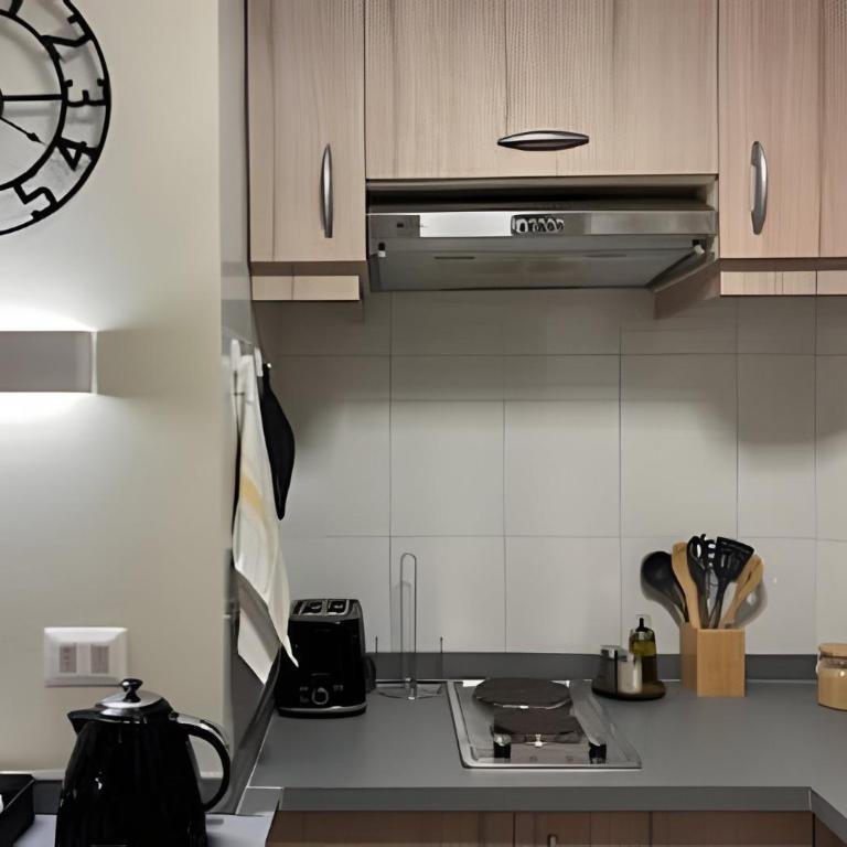Elegante y moderno departamento en Pucón - Apartamento de 1 dormitorio - 25