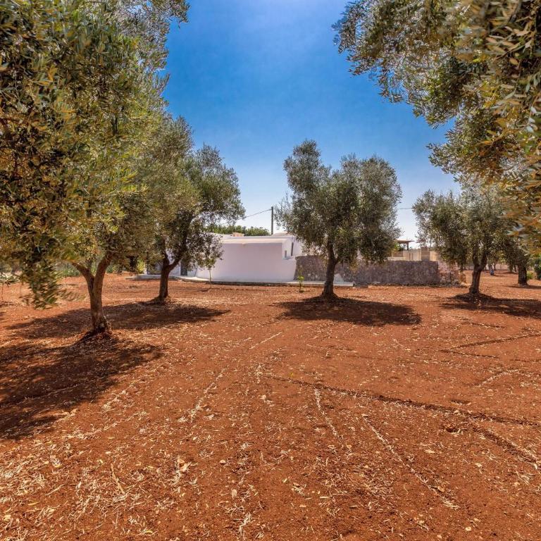 Trullo Bel Sito by Perle di Puglia - Casa Vacanze con 3 Camere da Letto - 49