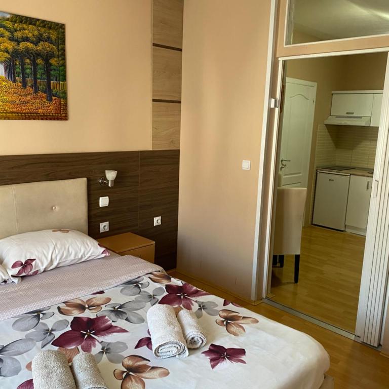 KONAK ViLA MIRKOVIĆ - Apartman sa Terasom - 2