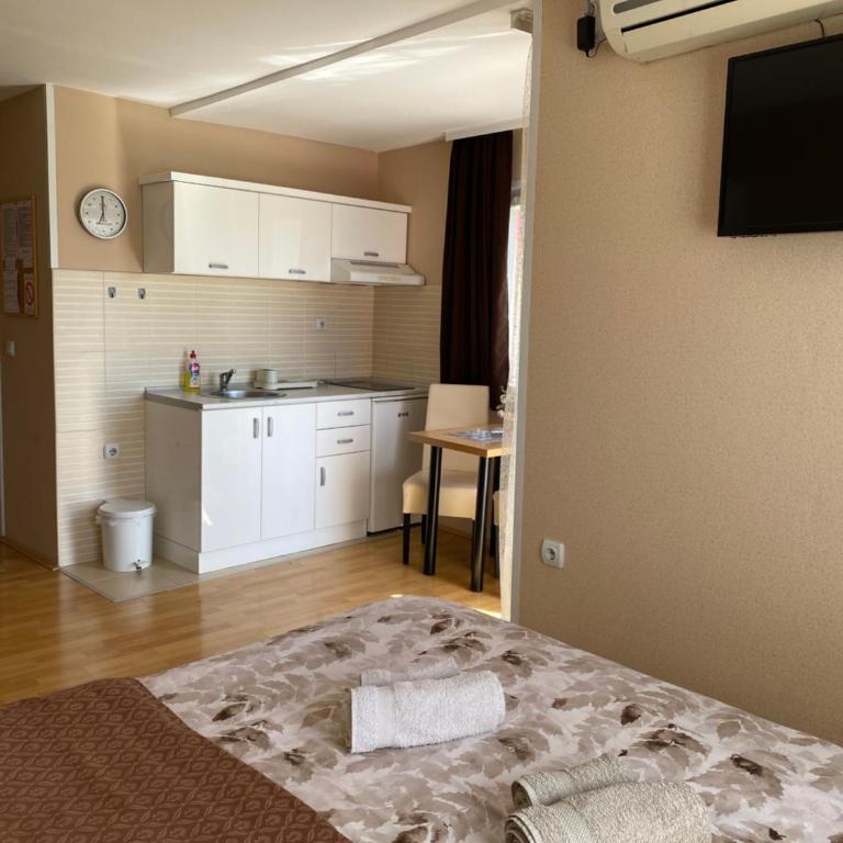KONAK ViLA MIRKOVIĆ - Studio sa Balkonom - 2