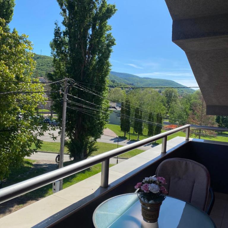 KONAK ViLA MIRKOVIĆ - Apartman Tipa "Suite" sa 1 Spavaćom Sobom - 4