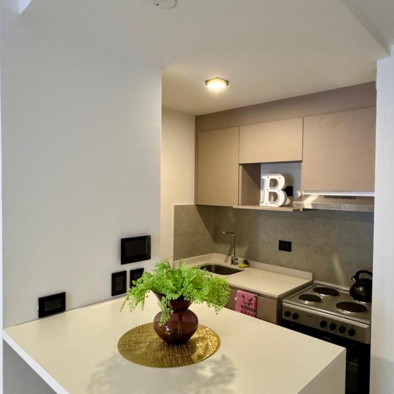 Monoambiente plaza libertad punto alquiler - Apartamento de 1 dormitorio - 11