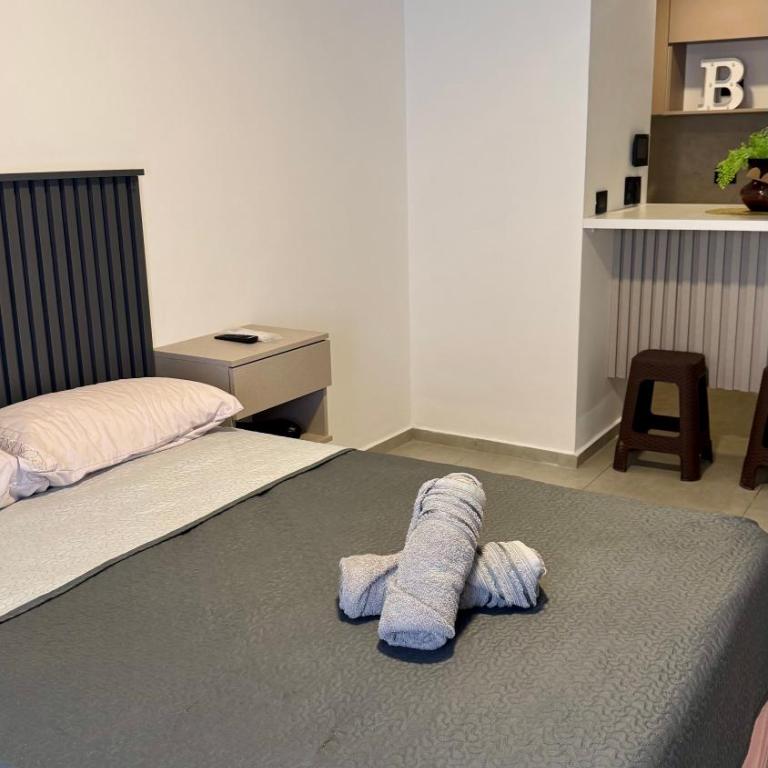 Monoambiente plaza libertad punto alquiler - Apartamento de 1 dormitorio - 12