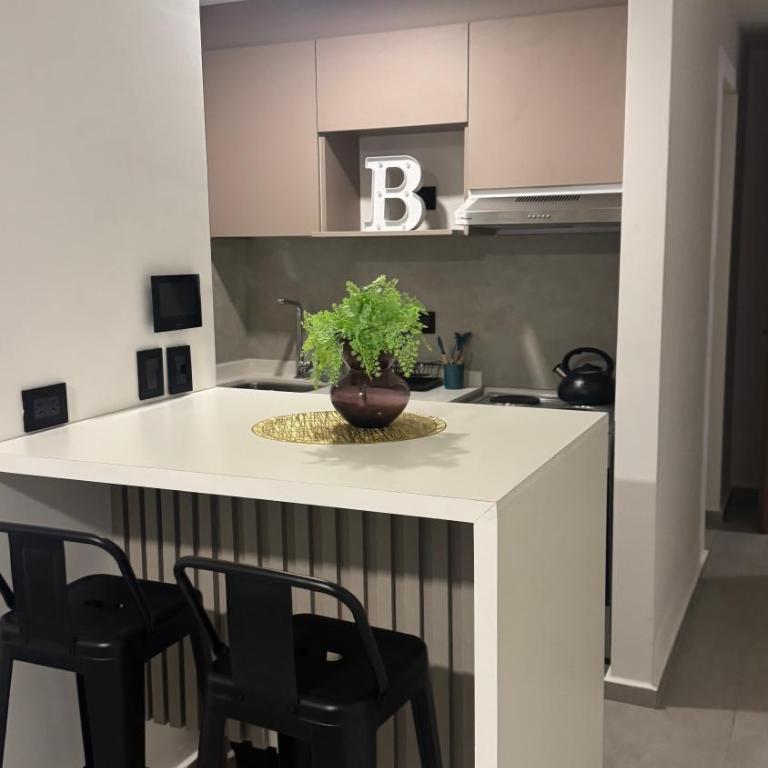 Monoambiente plaza libertad punto alquiler - Apartamento de 1 dormitorio - 17