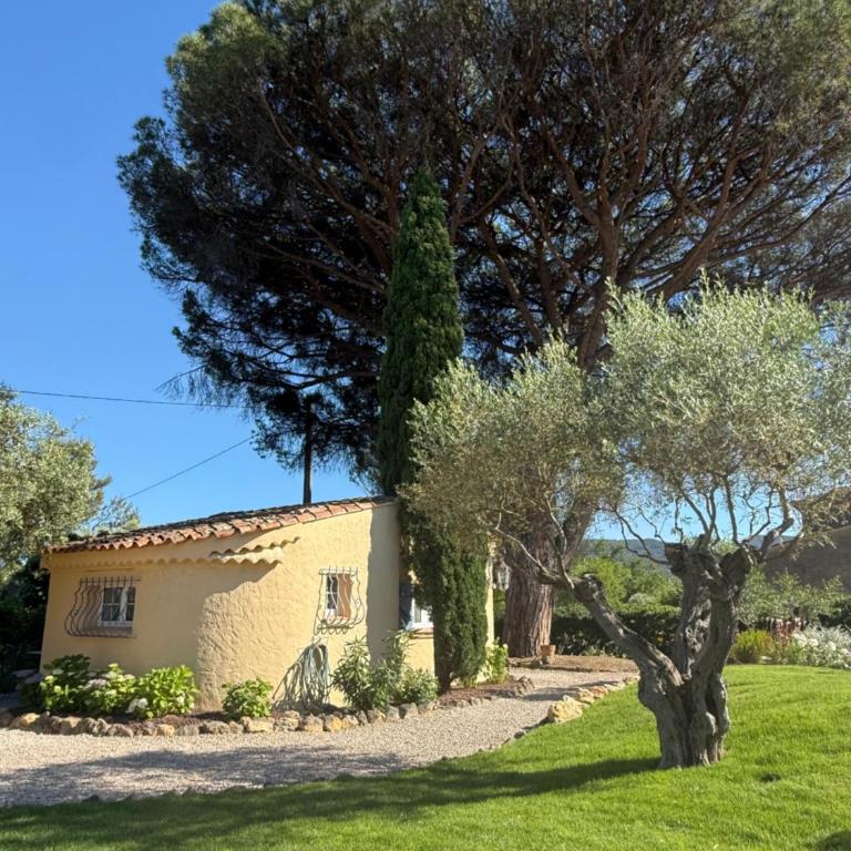 Le mazet du grand pin - Maison 1 Chambre - 2